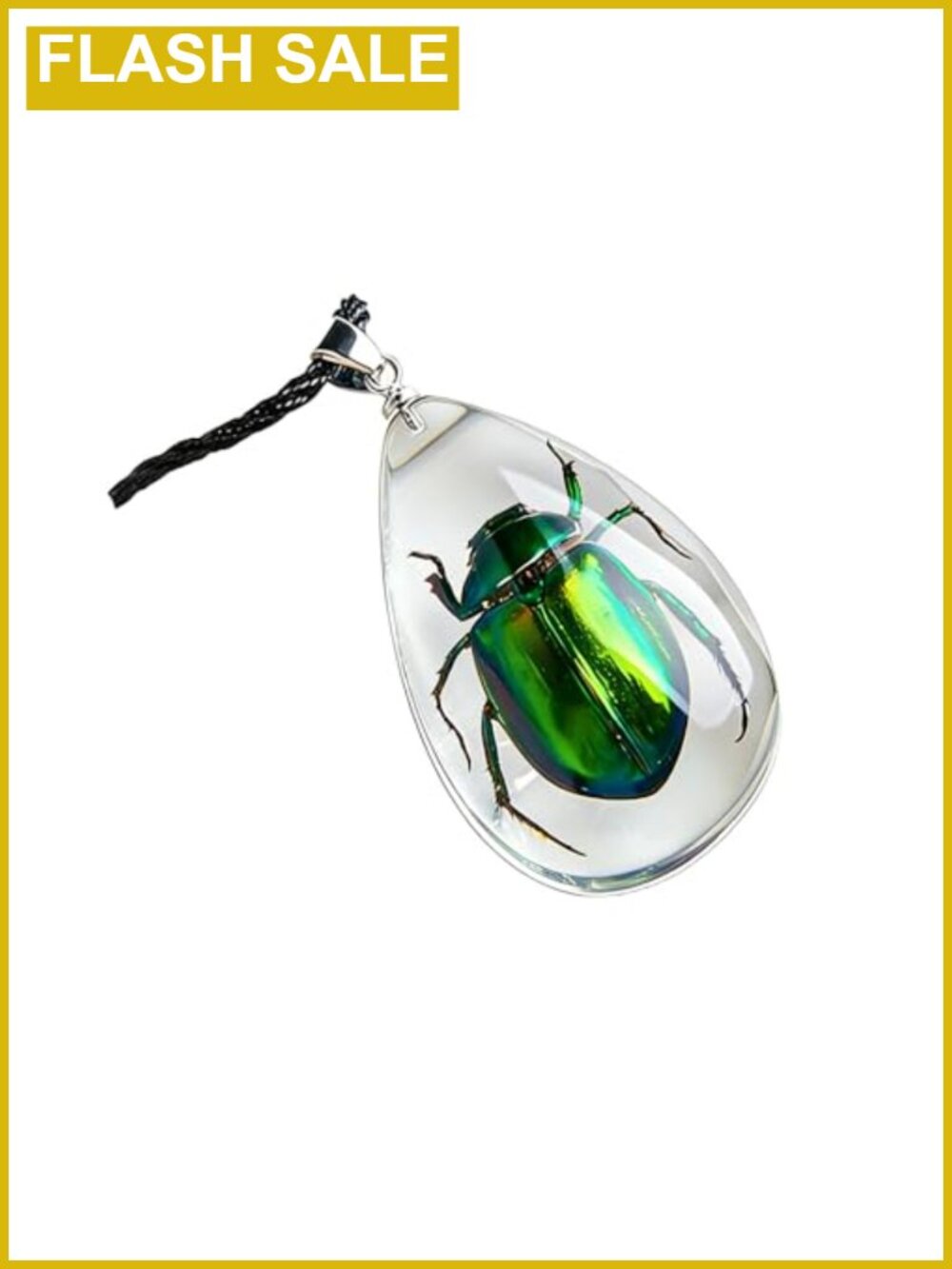 Scarab Beetle Resin Pendant Necklace Sterling Silver